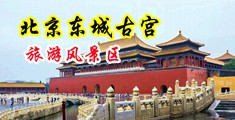 美女被干逼网站中国北京-东城古宫旅游风景区